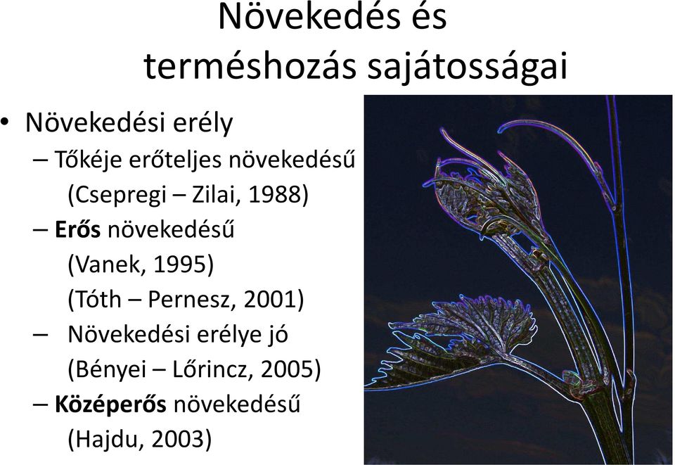 növekedésű (Vanek, 1995) (Tóth Pernesz, 2001) Növekedési