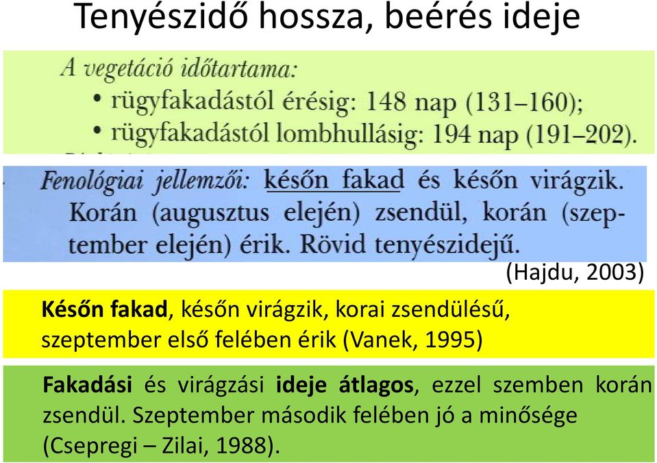 2003) Fakadási és virágzási ideje átlagos, ezzel szemben korán