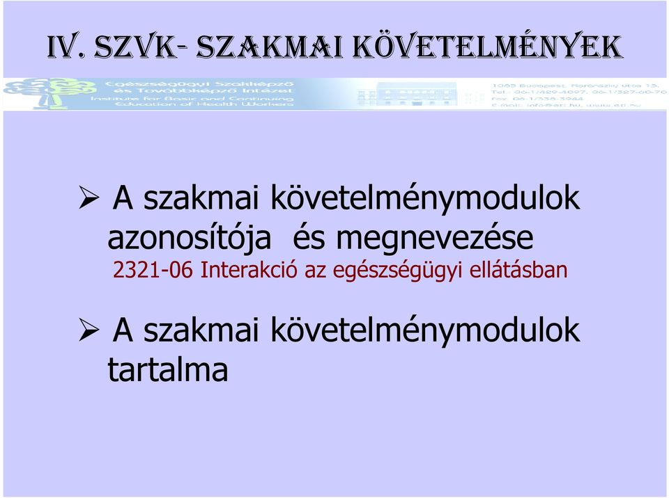 megnevezése 2321-06 Interakció az