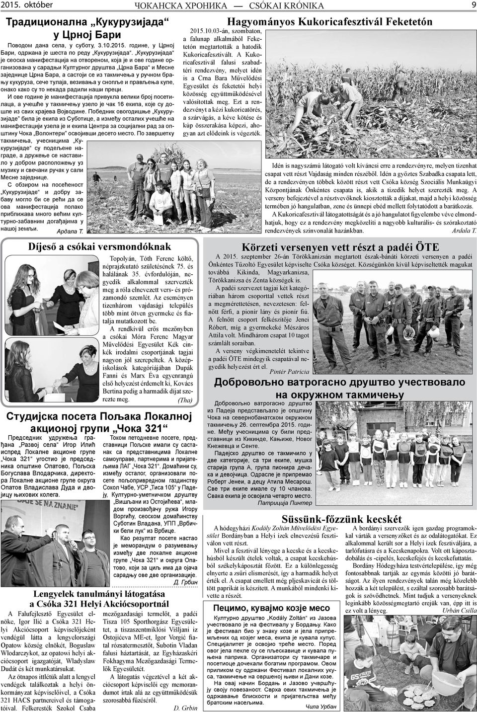 кукуруза, сече тулаја, везивања у снопље и прављења купе, онако како су то некада радили наши преци.