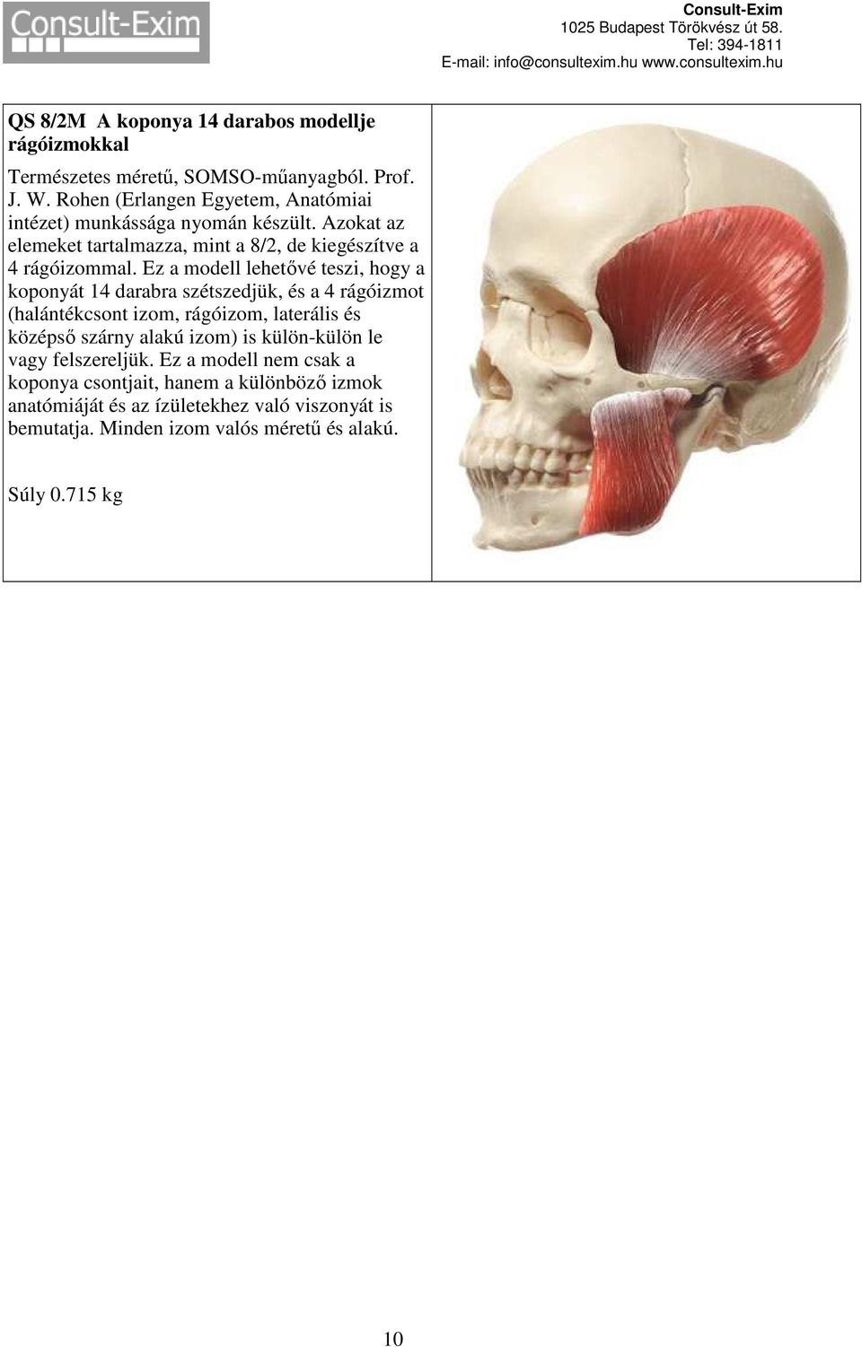 Ez a modell lehetővé teszi, hogy a koponyát 14 darabra szétszedjük, és a 4 rágóizmot (halántékcsont izom, rágóizom, laterális és középső szárny alakú