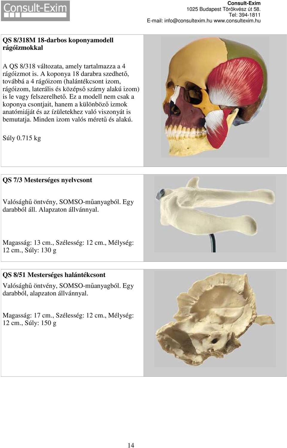 Ez a modell nem csak a koponya csontjait, hanem a különböző izmok anatómiáját és az ízületekhez való viszonyát is bemutatja. Minden izom valós méretű és alakú. Súly 0.