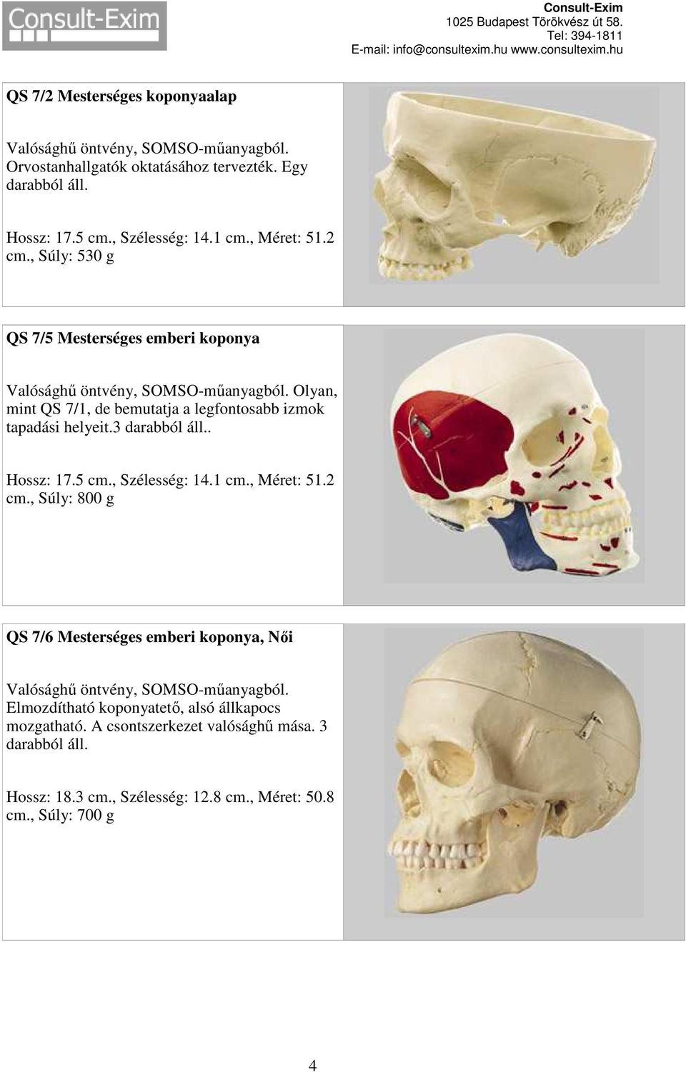 Olyan, mint QS 7/1, de bemutatja a legfontosabb izmok tapadási helyeit.3 darabból áll.. Hossz: 17.5 cm., Szélesség: 14.1 cm., Méret: 51.2 cm.