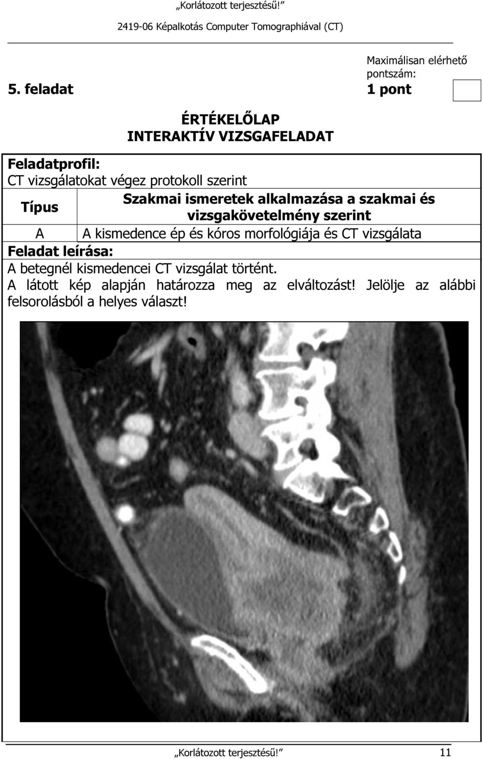 alkalmazása a szakmai és Típus vizsgakövetelmény szerint A A kismedence ép és kóros morfológiája és CT vizsgálata Feladat