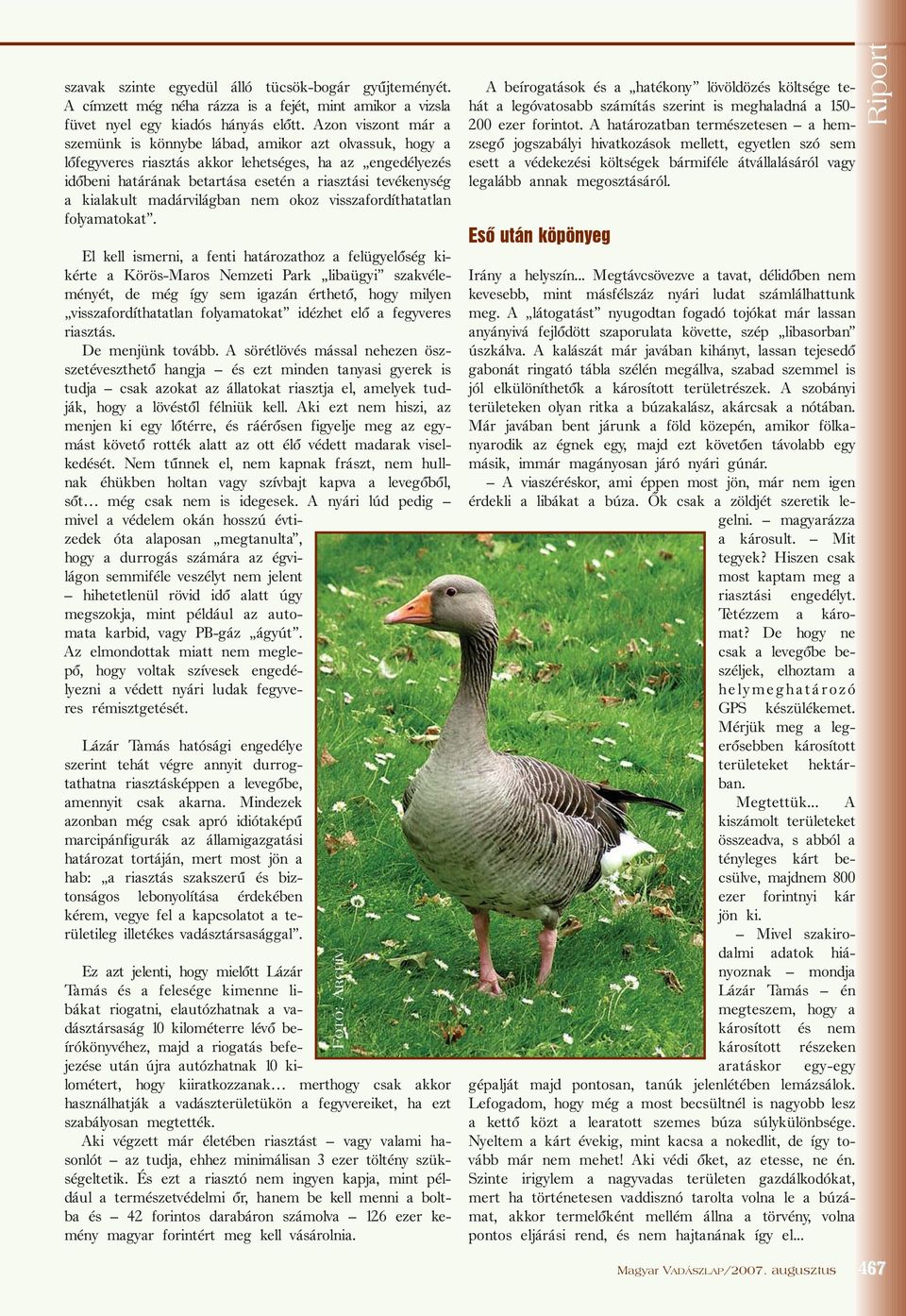 kialakult madárvilágban nem okoz visszafordíthatatlan folyamatokat.