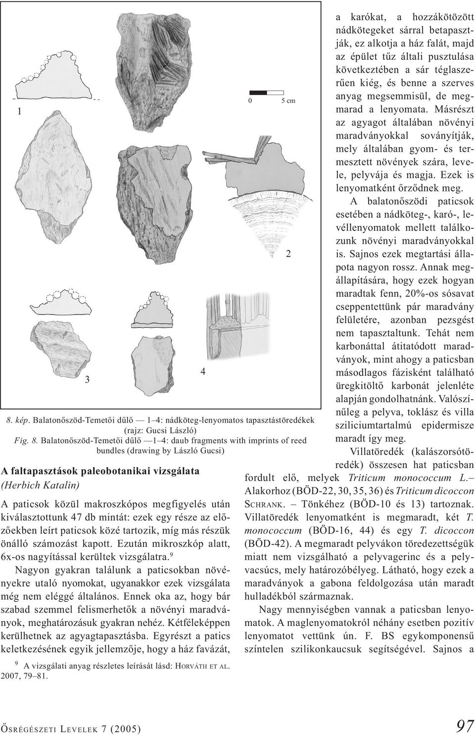 Balatonőszöd-Temetői dűlő 1 4: daub fragments with imprints of reed bundles (drawing by László Gucsi) A faltapasztások paleobotanikai vizsgálata (Herbich Katalin) A paticsok közül makroszkópos