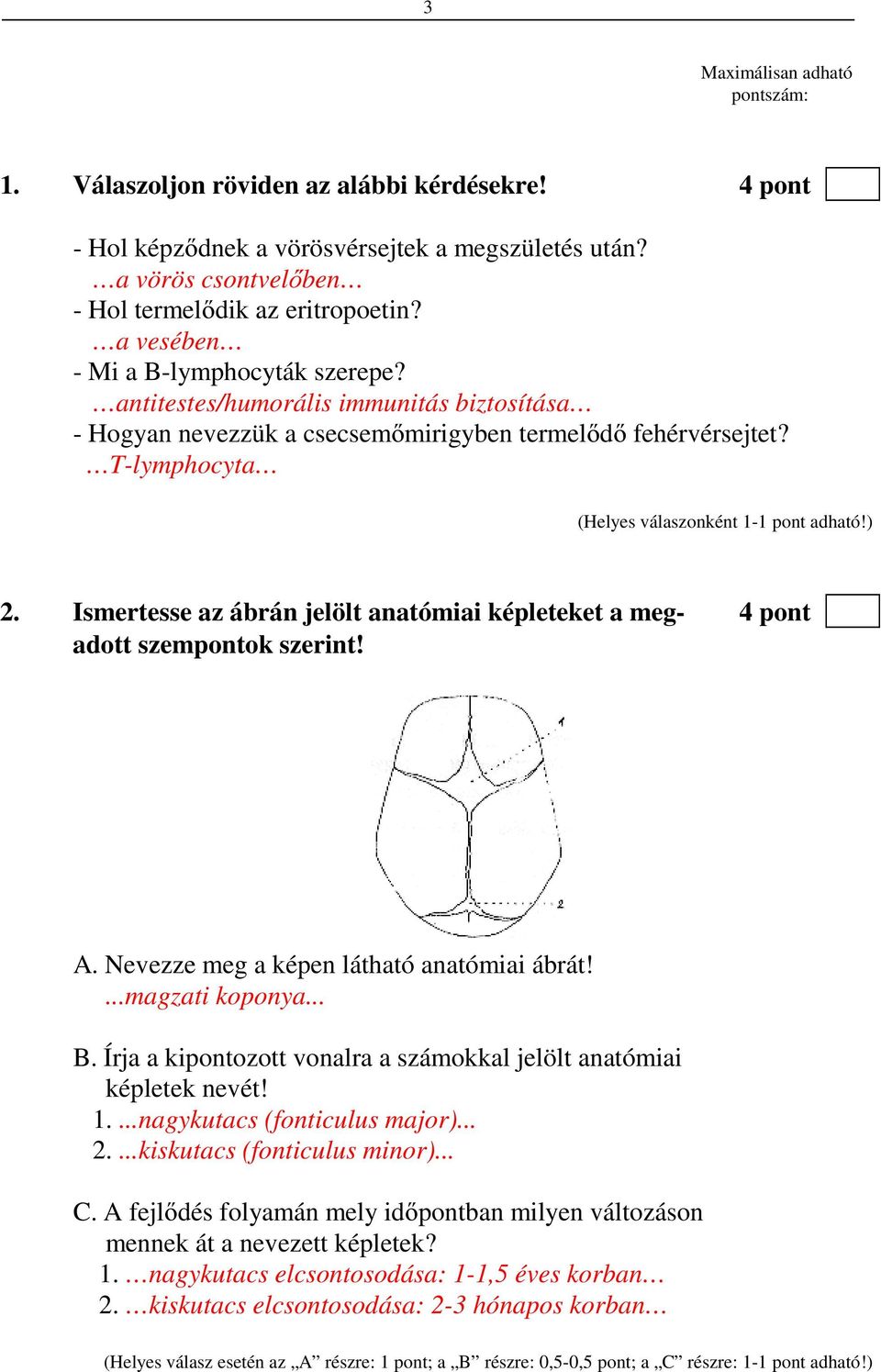 Ismertesse az ábrán jelölt anatómiai képleteket a meg- 4 pont adott szempontok szerint! A. Nevezze meg a képen látható anatómiai ábrát!...magzati koponya... B.