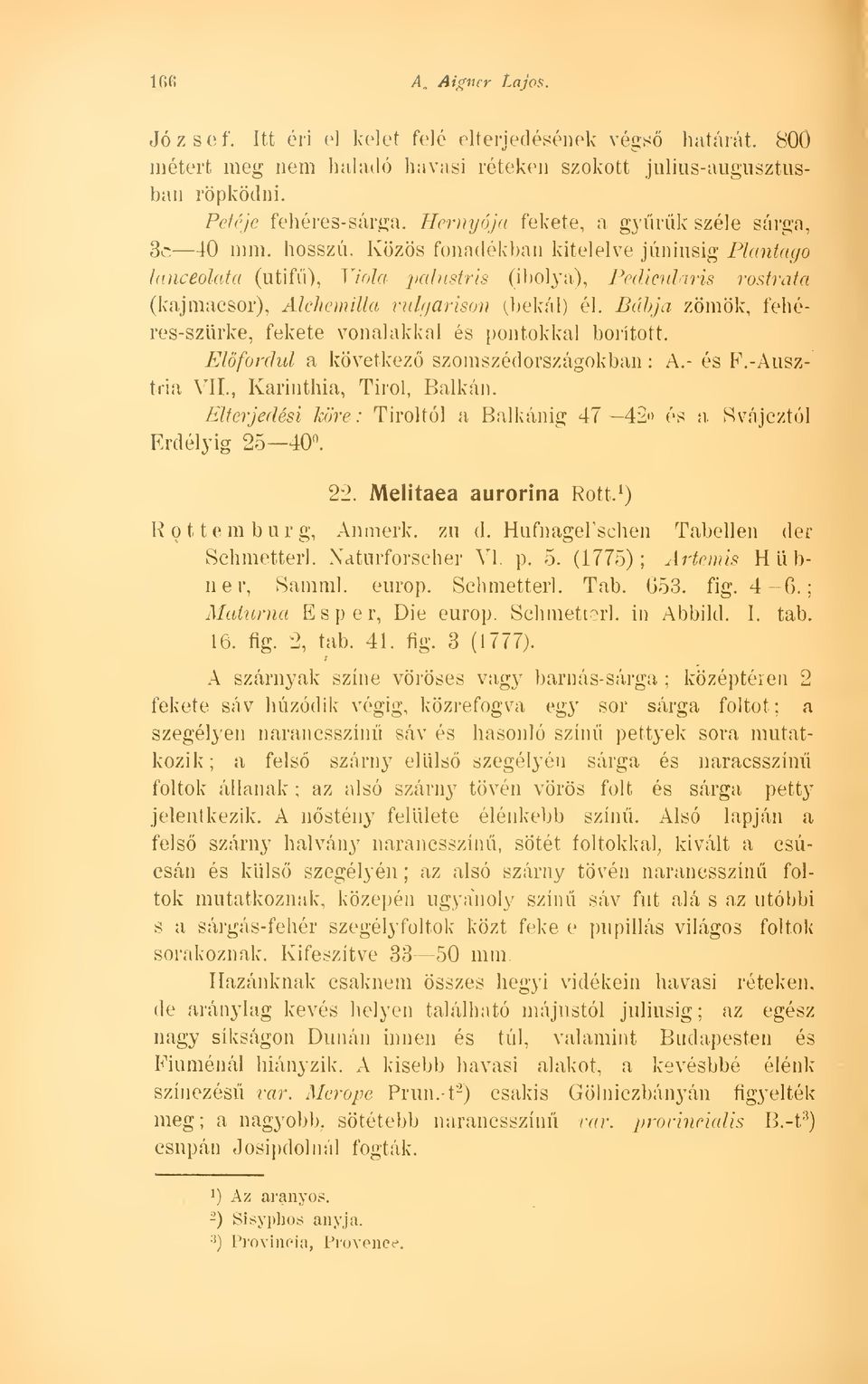 Közös fonadékban kitelelve júniusig Plantago lancéolata (útif), Viola palustris (ibolya), Pedicularis rostrata (kajmacsor), Alchemilla vulgárison (bekál) él.
