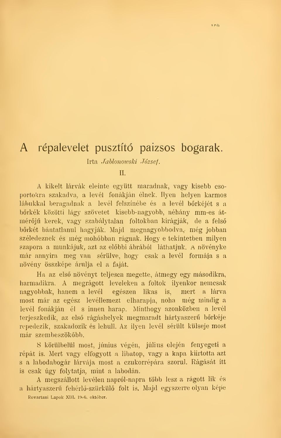 fels brkét bántatlanul hagyják. Majd megnagyobbodva, még jobban széledeznek és még mohóbban rágnak. Hogy e tekintetben milyen szapora a munkájuk, azt az elbbi ábrából láthatjuk.