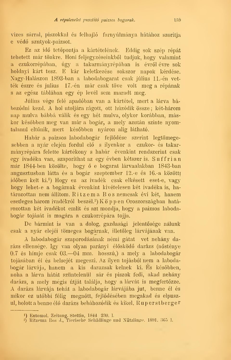 E kár keletkezése sokszor napok kérdése. Nagy- Halászon 1893-ban a labodabogarat csak július 11.-én vették észre és július 17.