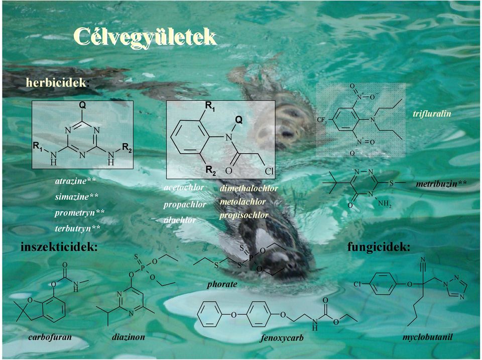 propisochlor alachlor CF 3 + + S 2 trifluralin metribuzin**