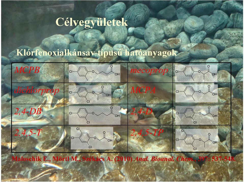 2,4-DB 2,4-D 2,4,5-T 2,4,5-TP Maloschik E.