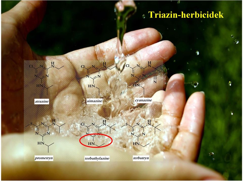 cyanazine S prometryn