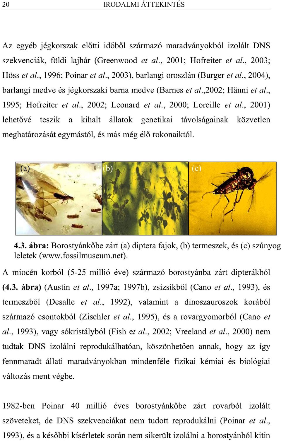 , 2001) lehet vé teszik a kihalt állatok genetikai távolságainak közvetlen meghatározását egymástól, és más még él rokonaiktól. (a) (b) (c) 4.3.