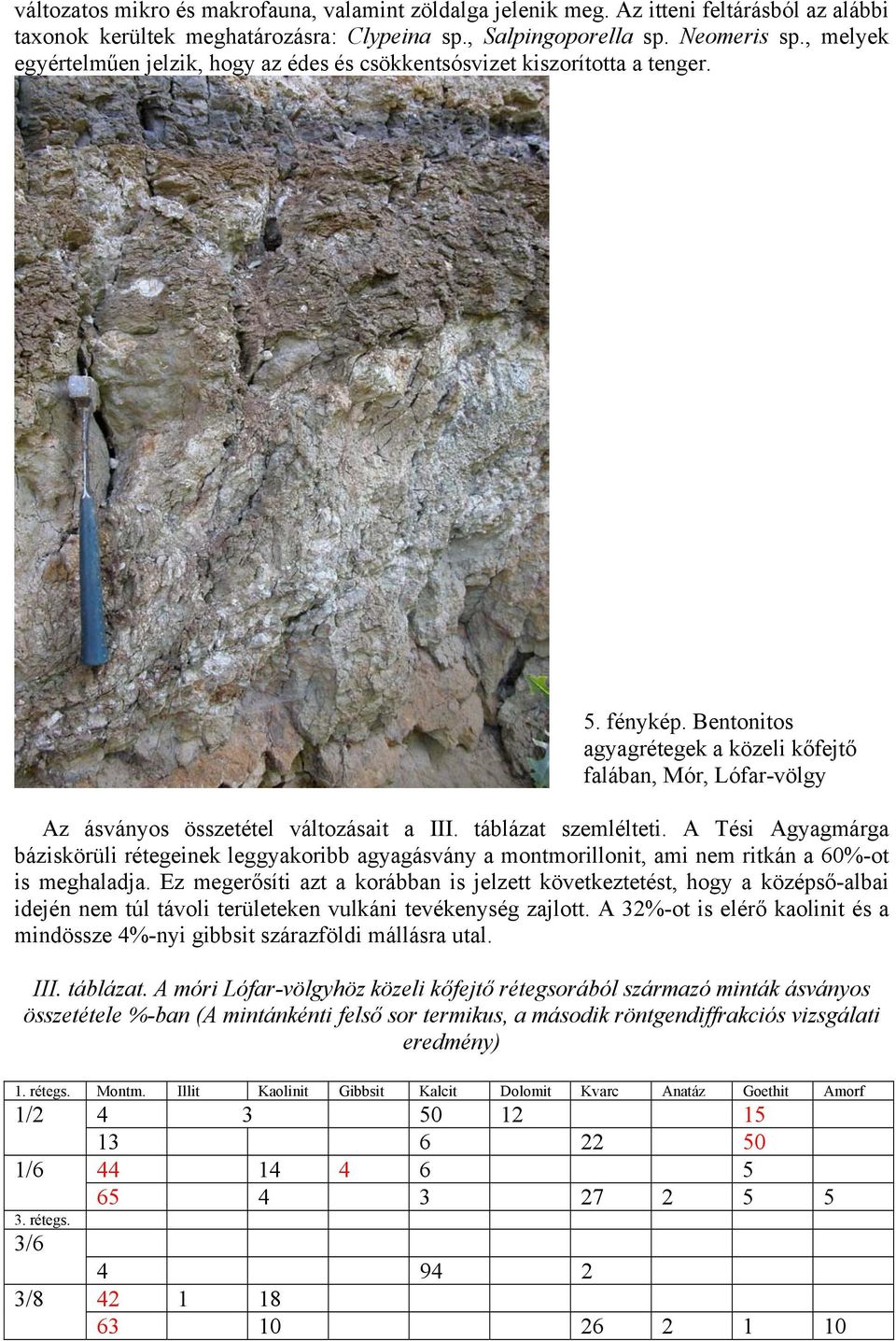Bentonitos agyagrétegek a közeli kőfejtő falában, Mór, Lófar-völgy Az ásványos összetétel változásait a III. táblázat szemlélteti.