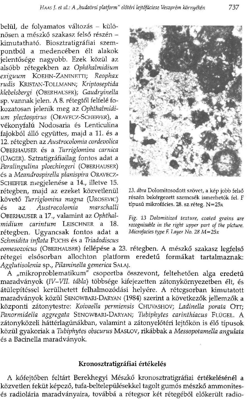 Ezek közül az alsóbb rétegekben az Ophthalmidium exiguum KOEHN-ZANINETTI; Reophax rudis KRISTAN-TOLLMANN; Kriptoseptida klebelsbergi (OBERHAUSER); Gaudryinella sp. vannak jelen. A 8.