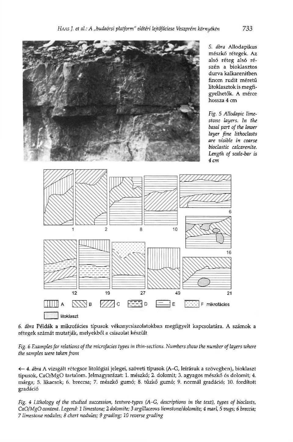 In the basal part of the lower layer fine lithoclasts are visible in coarse bioclastic calcarenite.