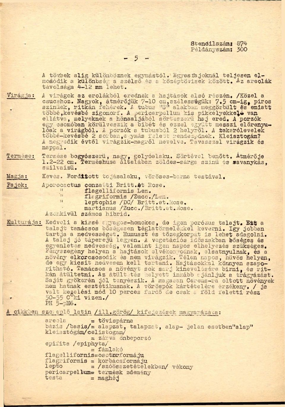 Nagyok, átmérőjülc 7-10 cu,szélességük: 7.5 cm-ig^ piros színűek, ritkán fehérek, A tubus -'S'' alakban meggörbült és emiatt többé,kevésbé zigomori.