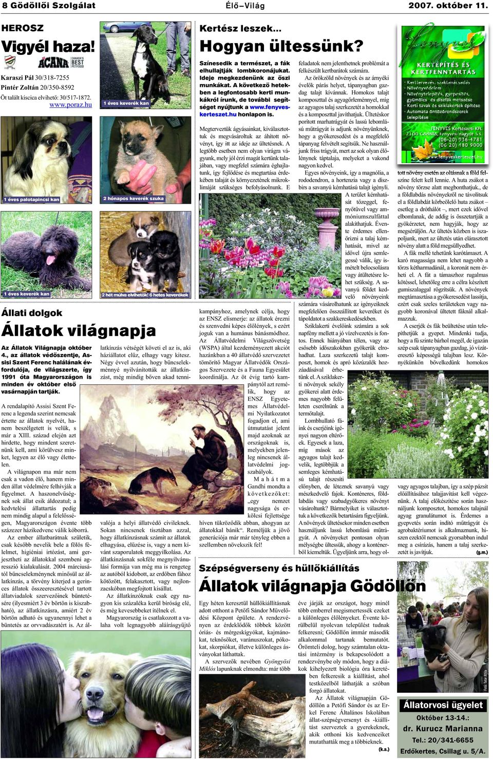 , az állatok védőszentje, Assisi Szent Ferenc halálának évfordulója, de világszerte, így 1991 óta Magyarországon is minden év október első vasárnapján tartják. 2 hét múlva elvihetők!