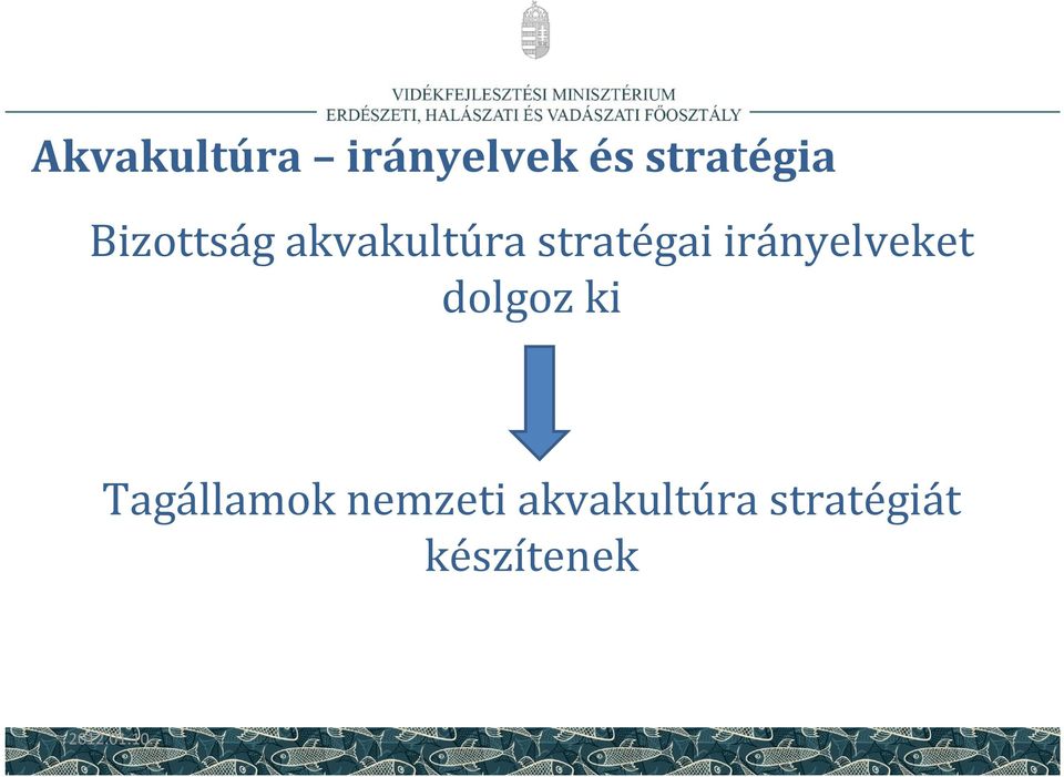 irányelveket dolgoz ki Tagállamok
