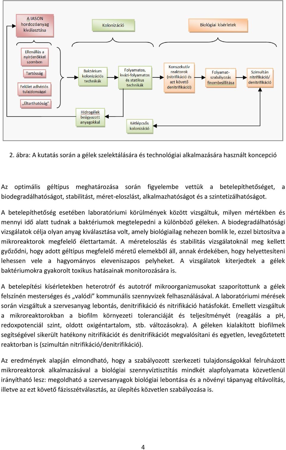 A betelepíthetőség esetében laboratóriumi körülmények között vizsgáltuk, milyen mértékben és mennyi idő alatt tudnak a baktériumok megtelepedni a különböző géleken.