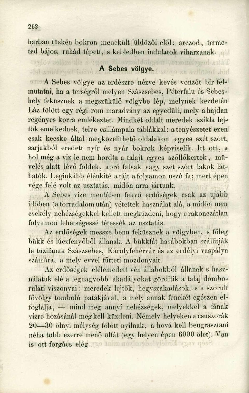 maradvány az egyedüli, mely a hajdan regényes korra emlékeztet.