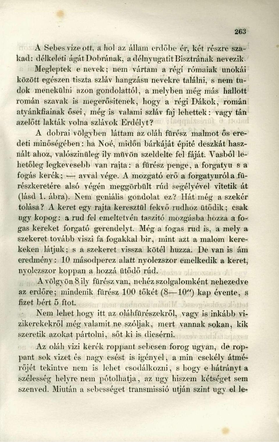 nevekre találni, s nem tudok menekülni azon gondolattól, a melyben még más hallott román szavak is megerősítenek, hogy a régi Dákok, román atyánkfiainak ősei, még is valami szláv faj lehettek: vagy