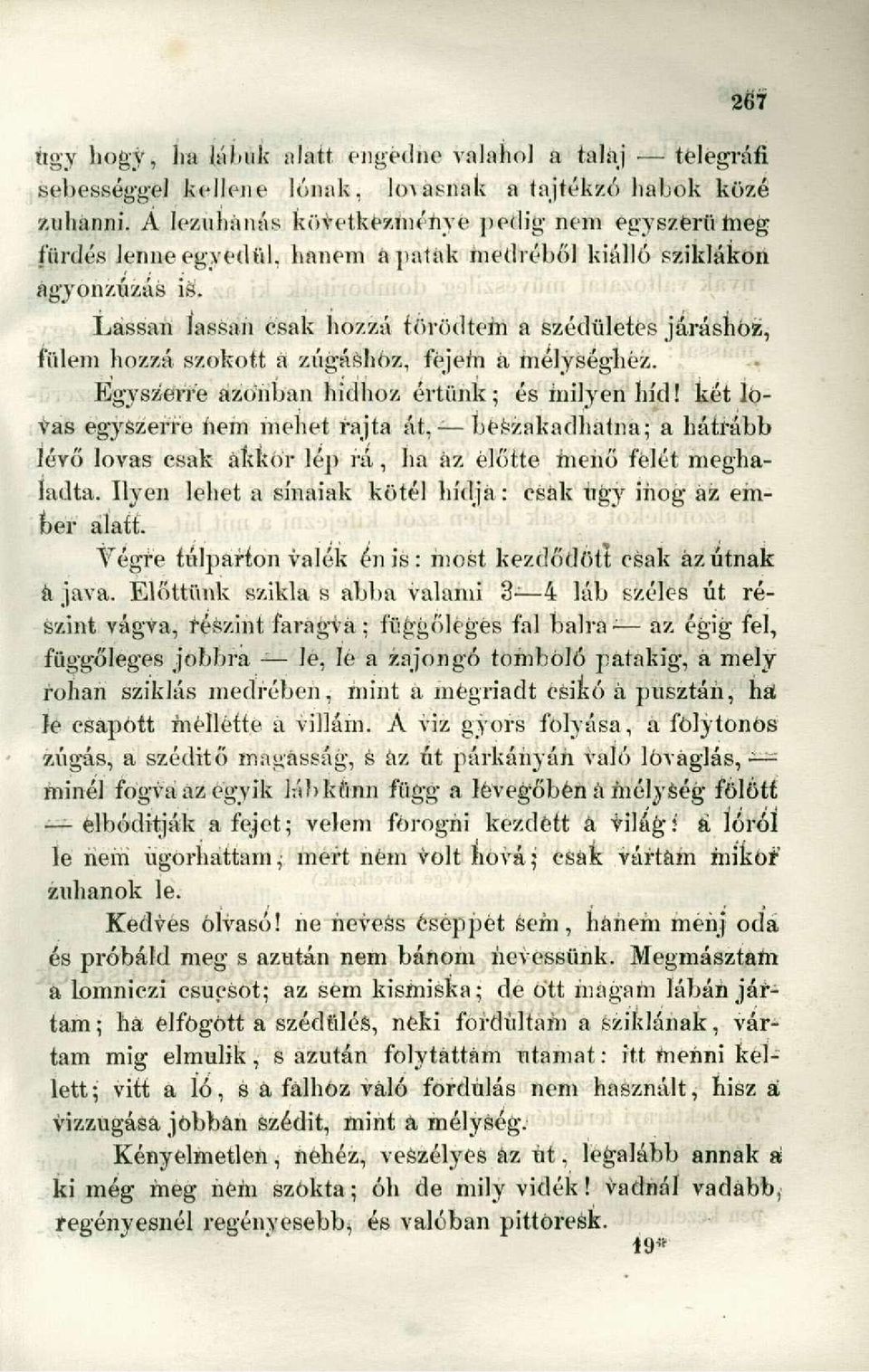 Lassan lassan csak hozzá törődtem a szédületes járáshoz, fülem hozzá szokott a zúgáshöz, fejem a mélységhez. Egyszerre azonban hidhoz értünk; és milyen híd!