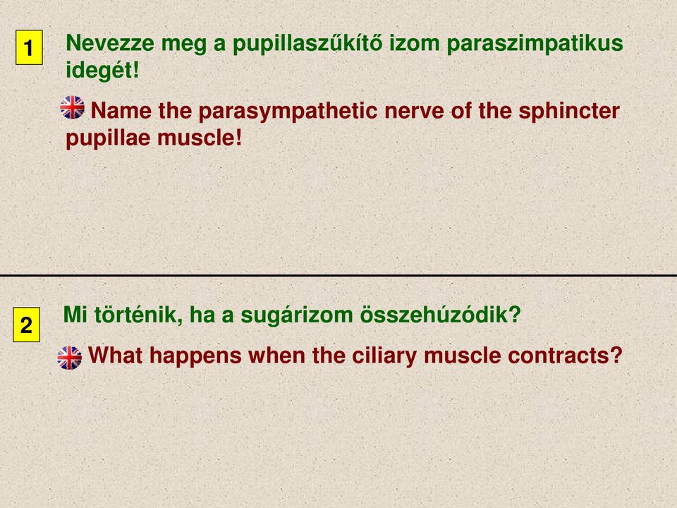 Name the parasympathetic nerve of the sphincter