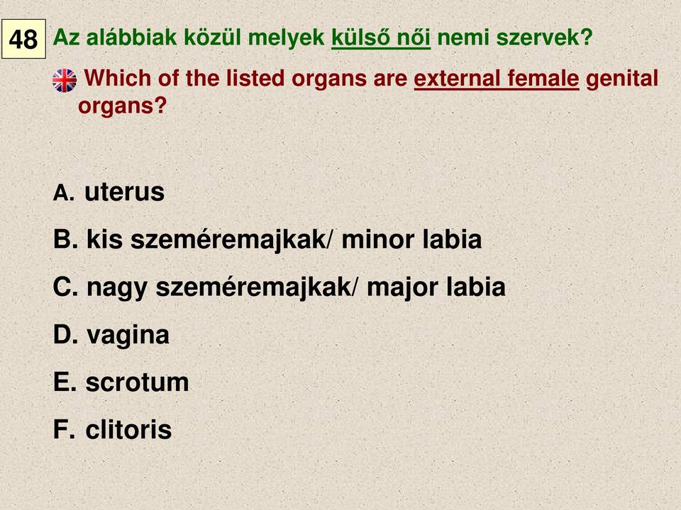 organs? A. uterus B. kis szeméremajkak/ minor labia C.