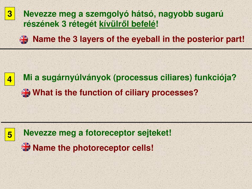 4 Mi a sugárnyúlványok (processus ciliares) funkciója?