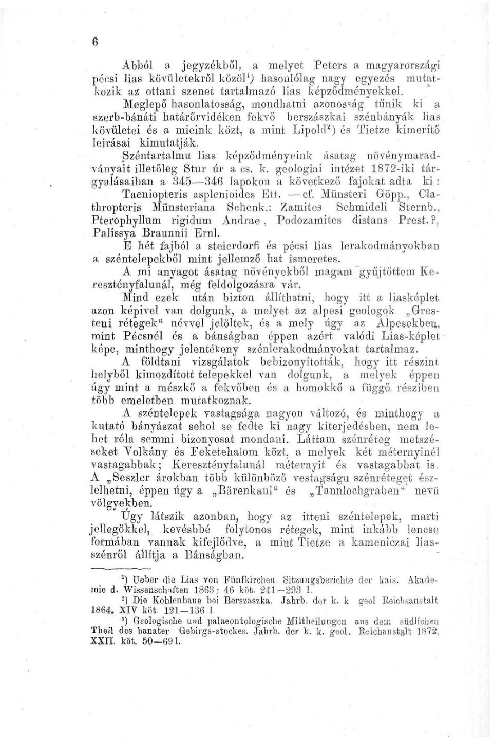 Széntartalmú lias képződményeink ásatag növénymaradványait illetőleg Stur úr a cs. k. geológiai intézet 1872-iki tárgyalásaiban a 345 346 lapokon a következő fajokat adta ki: Taeniopteris asplenioides Ett.