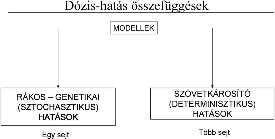 (SZTOCHASZTIKUS) HATÁSOK Egy sejt