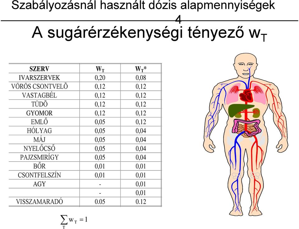 GYOMOR 0,12 0,12 EMLŐ 0,05 0,12 HÓLYAG 0,05 0,04 MÁJ 0,05 0,04 NYELŐCSŐ 0,05 0,04