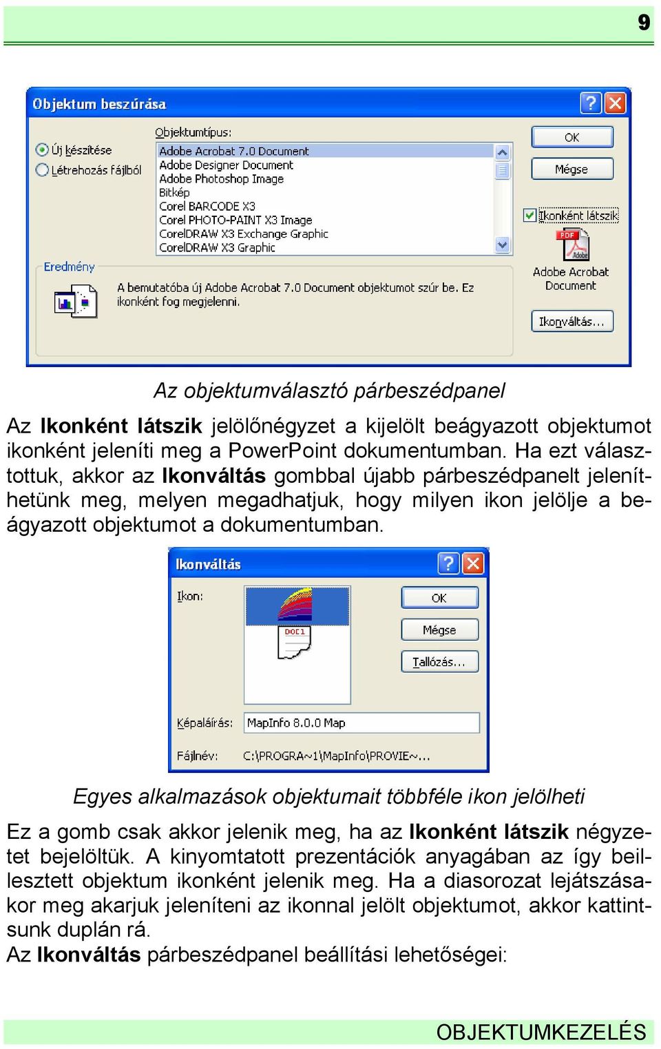 Egyes alkalmazások objektumait többféle ikon jelölheti Ez a gomb csak akkor jelenik meg, ha az Ikonként látszik négyzetet bejelöltük.