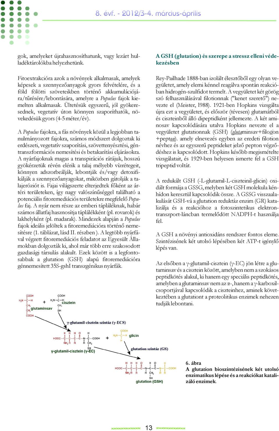 kiemelten alkalmasak. Ültetésük egyszerű, jól gyökeresednek, vegetatív úton könnyen szaporíthatók, növekedésük gyors (4- méter/év).