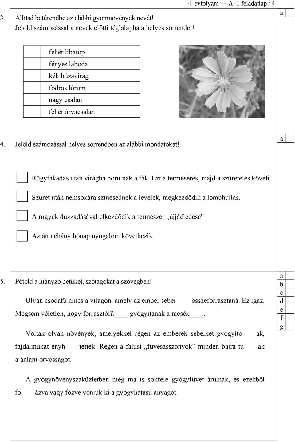 A rügyk uzzásávl lkzőik trmészt,,újjáélés. Aztán néhány hónp nyuglom kövtkzik. 5. Pótol hiányzó tűkt, szótgokt szövgn! Olyn sofű nins világon, mly z mr si összforrsztná. Ez igz.