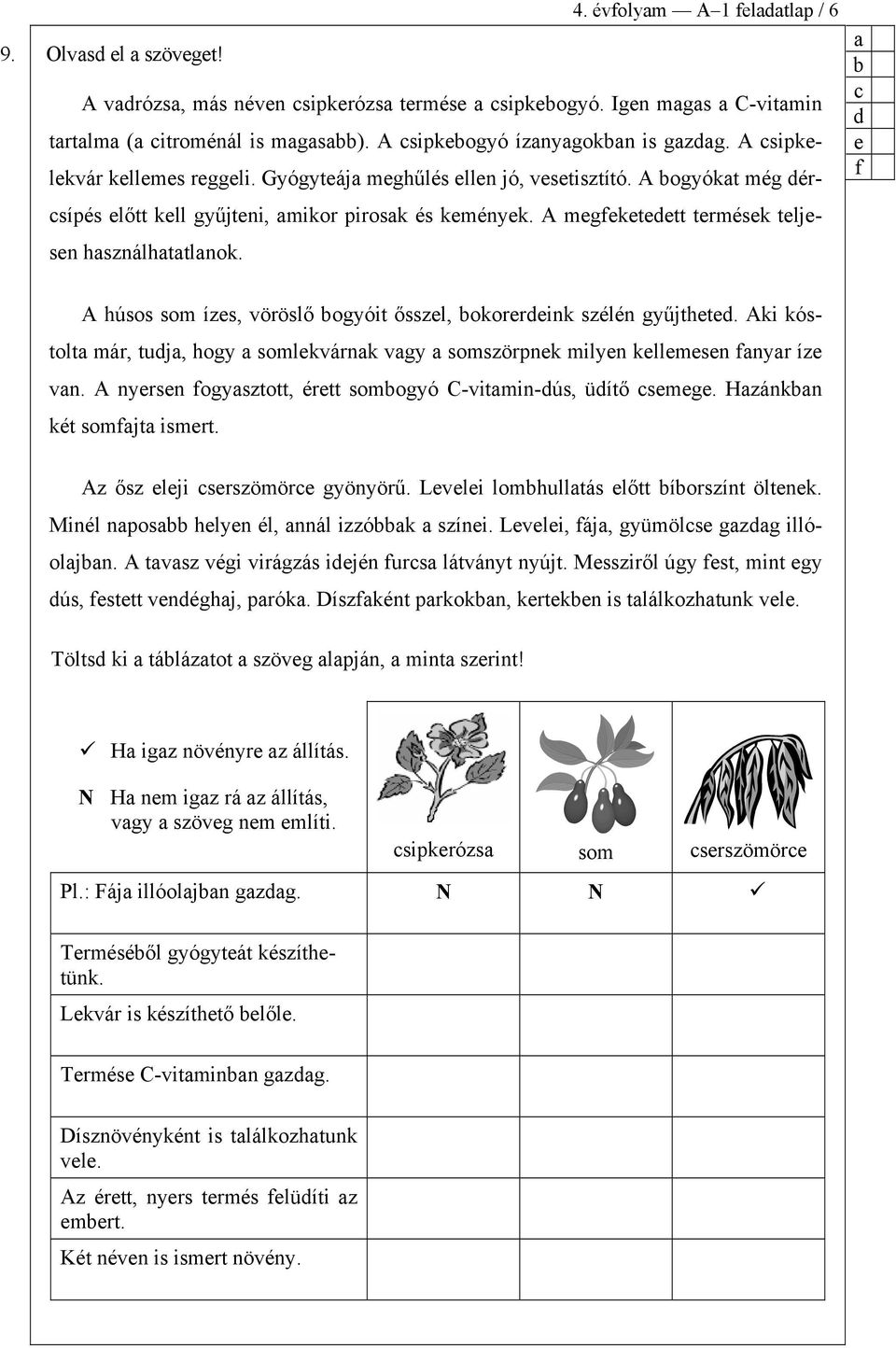 f A húsos som ízs, vöröslő ogyóit ősszl, okorrink szélén gyűjtht. Aki kóstolt már, tuj, hogy somlkvárnk vgy somszörpnk milyn kllmsn fnyr íz vn. A nyrsn fogysztott, értt somogyó C-vitmin-ús, üítő smg.