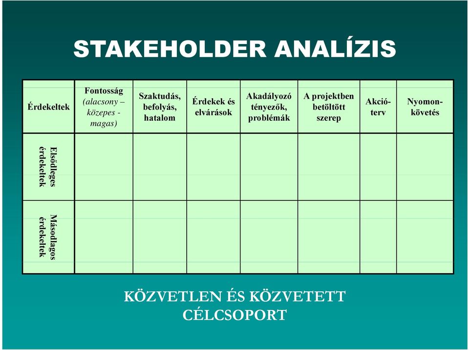 problémák A projektben betöltött szerep Akcióterv Nyomonkövetés