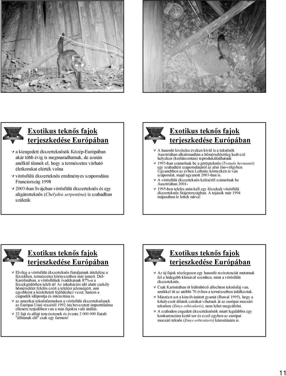 terjeszkedése Európában A hasonló kivételes éveken kívül is a teknősök Ausztriában alkalomadtán a hőmérsékletileg kedvező helyeken (korlátozottan) reprodukálódhatnak 1993-ban számolnak be a