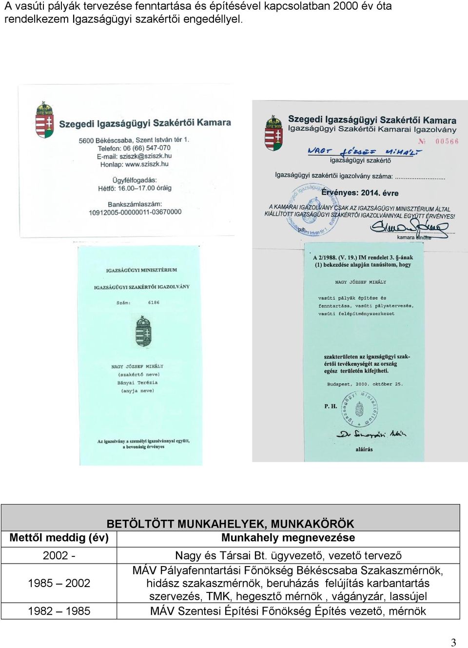 ügyvezető, vezető tervező MÁV Pályafenntartási Főnökség Békéscsaba Szakaszmérnök, 1985 2002 hidász szakaszmérnök,