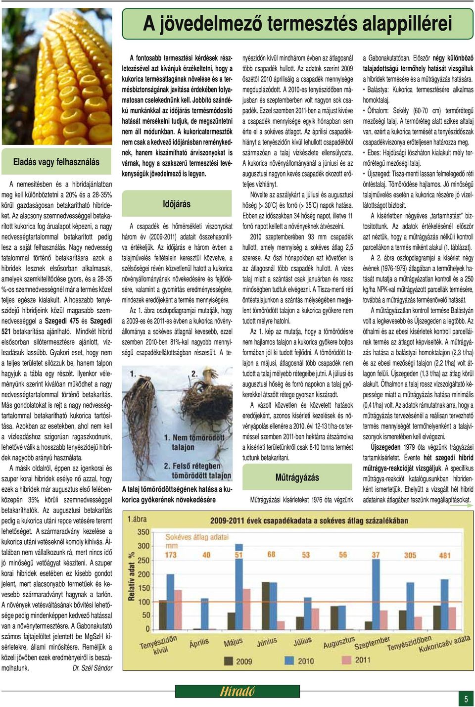 Nagy nedvesség tatalommal történő betakarításra azok a hibridek lesznek elsősorban alkalmasak, amelyek szemkitelítődése gyors, és a 28-35 %-os szemnedvességnél már a termés közel teljes egésze