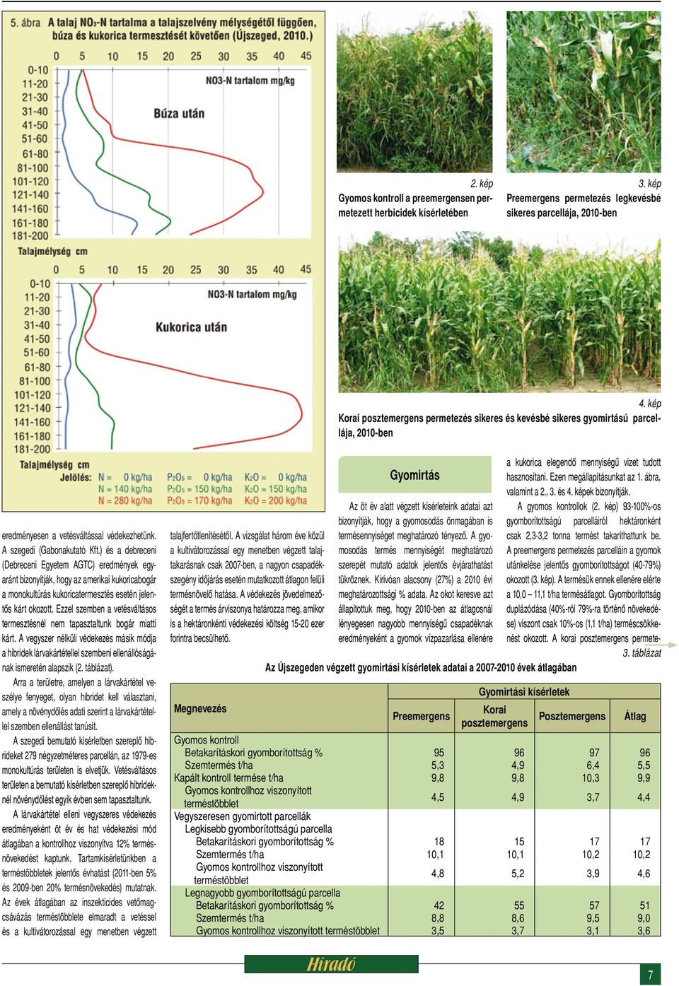) és a debreceni (Debreceni Egyetem AGTC) eredmények egyaránt bizonyítják, hogy az amerikai kukoricabogár a monokultúrás kukoricatermesztés esetén jelentős kárt okozott.