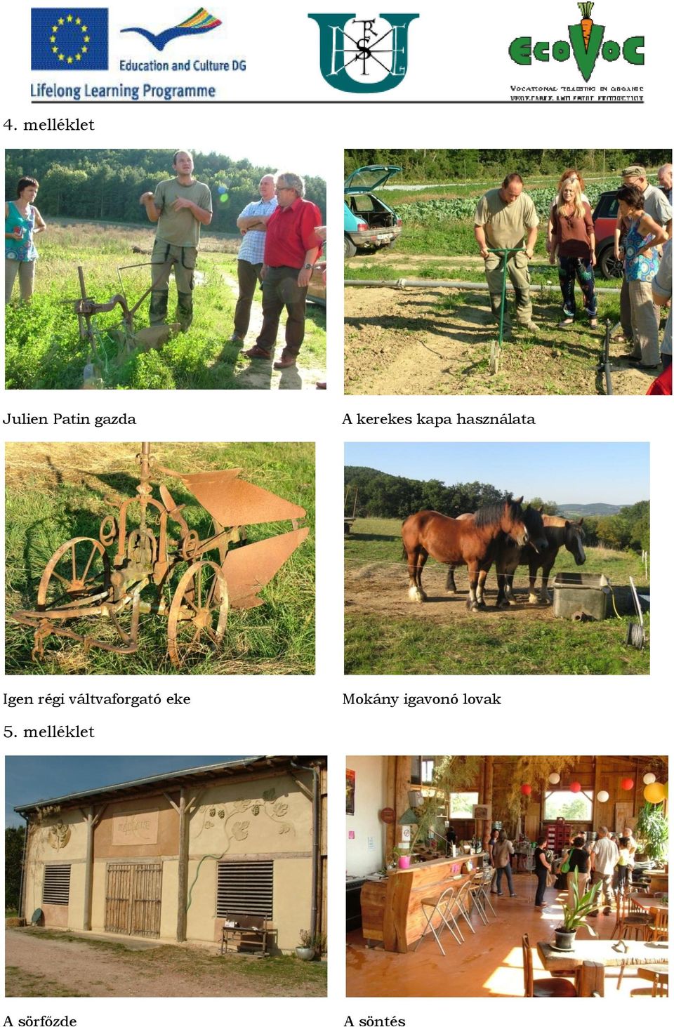 váltvaforgató eke Mokány igavonó