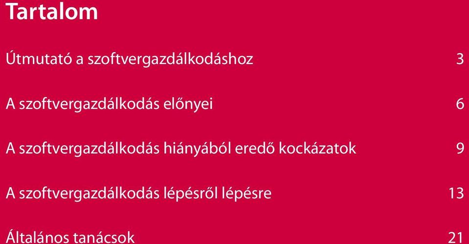 szoftvergazdálkodás hiányából eredő kockázatok