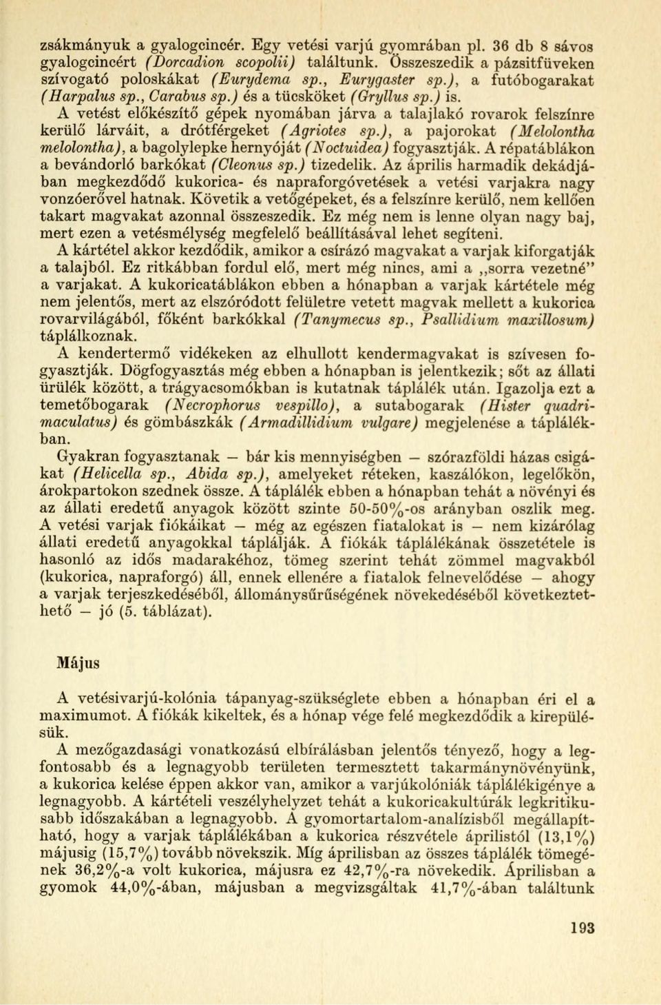 ), a pajorokat (Melolontha melolontha), a baolylepke hernyóját (Noctuidea) foyasztják. A répatáblákon a bevándorló barkókat (Cleonus sp.) tizedelik.