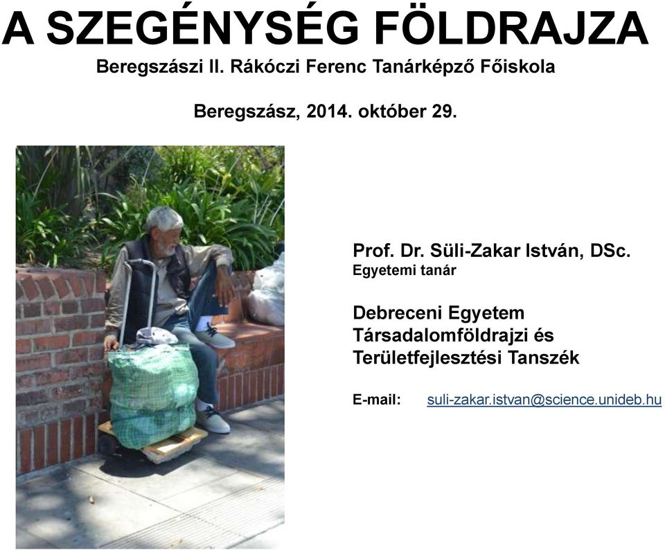 Prof. Dr. Süli-Zakar István, DSc.