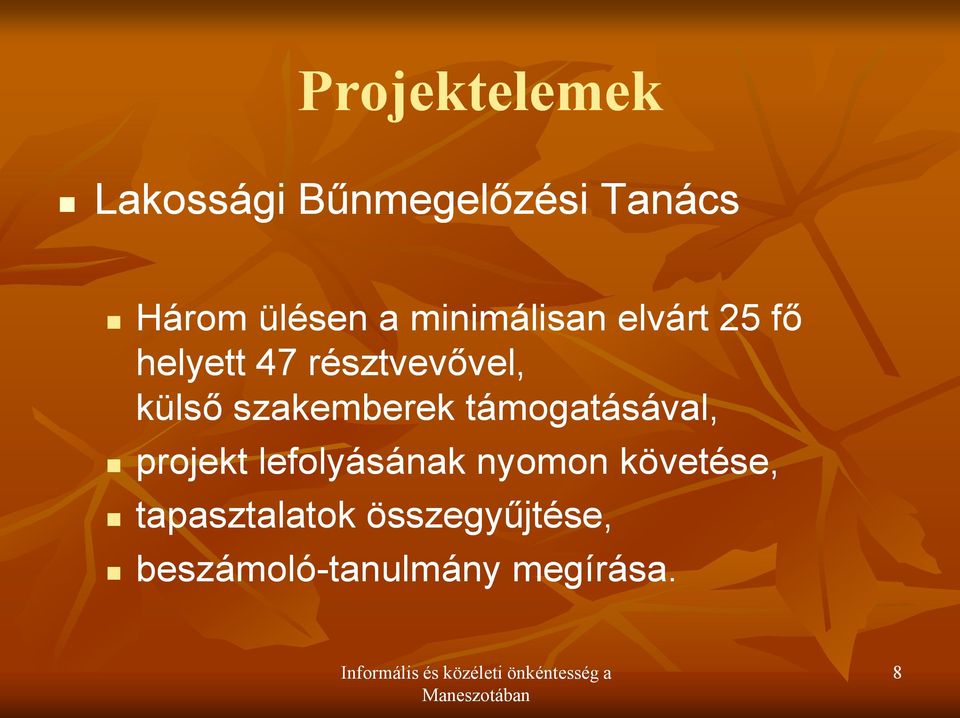 szakemberek támogatásával, projekt lefolyásának nyomon