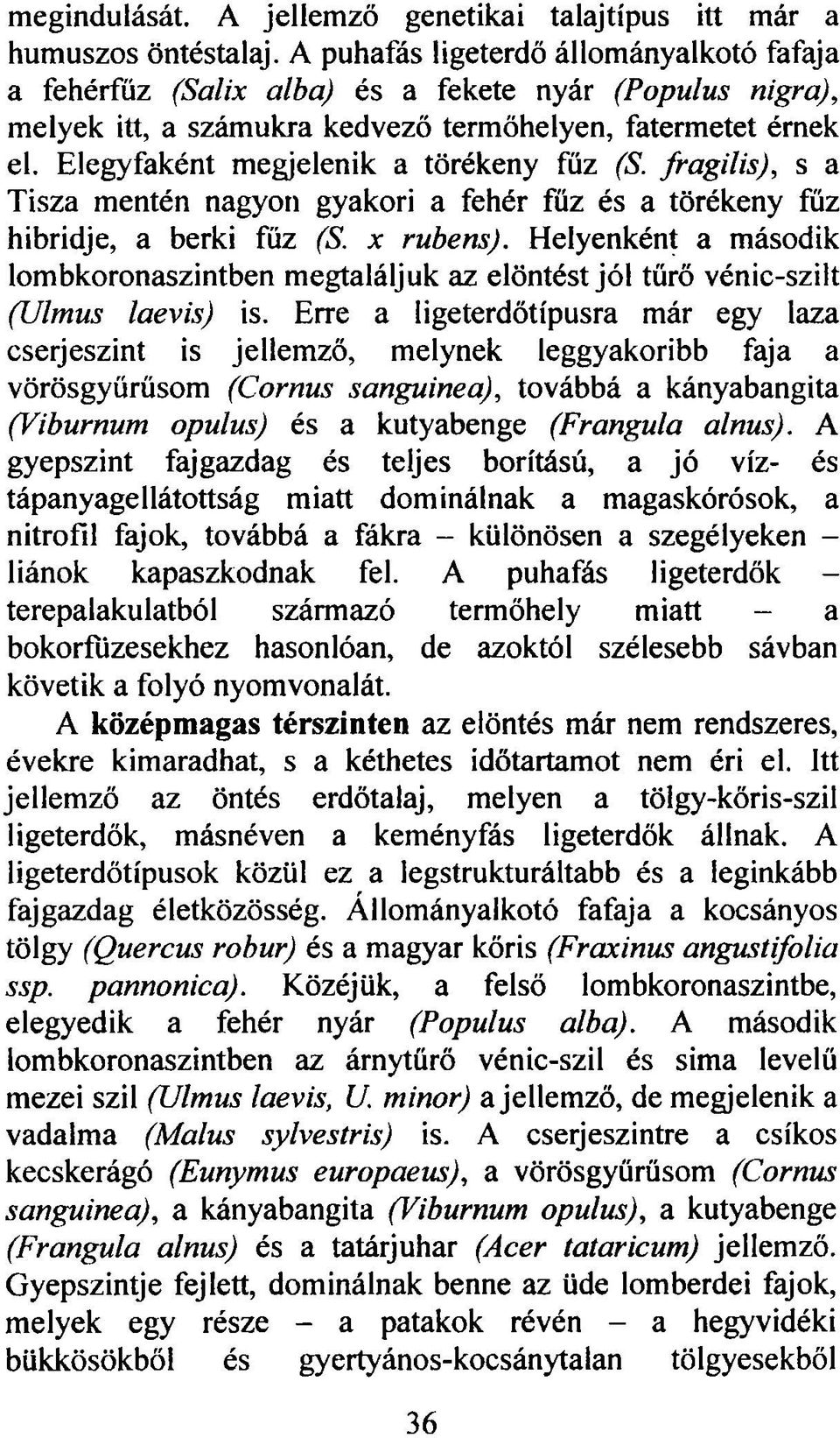 Elegyfaként megjelenik a törékeny fűz (S. fragilis), s a Tisza mentén nagyon gyakori a fehér fűz és a törékeny fűz hibridje, a berki fűz (S. x rubens).