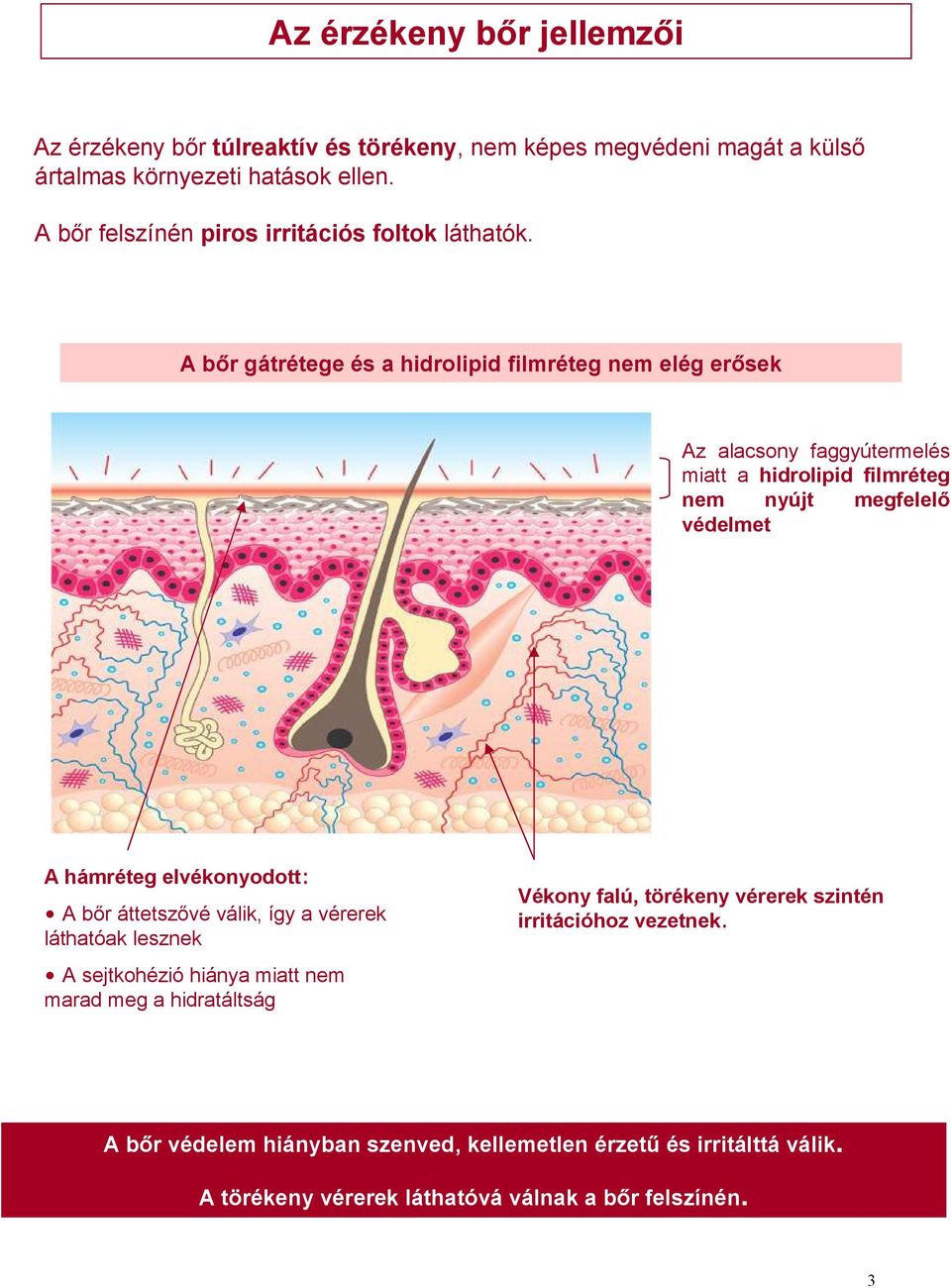 A bőr gátrétege és a hidrolipid filmréteg nem elég erősek Az alacsony faggyútermelés miatt a hidrolipid filmréteg nem nyújt megfelelő védelmet A hámréteg